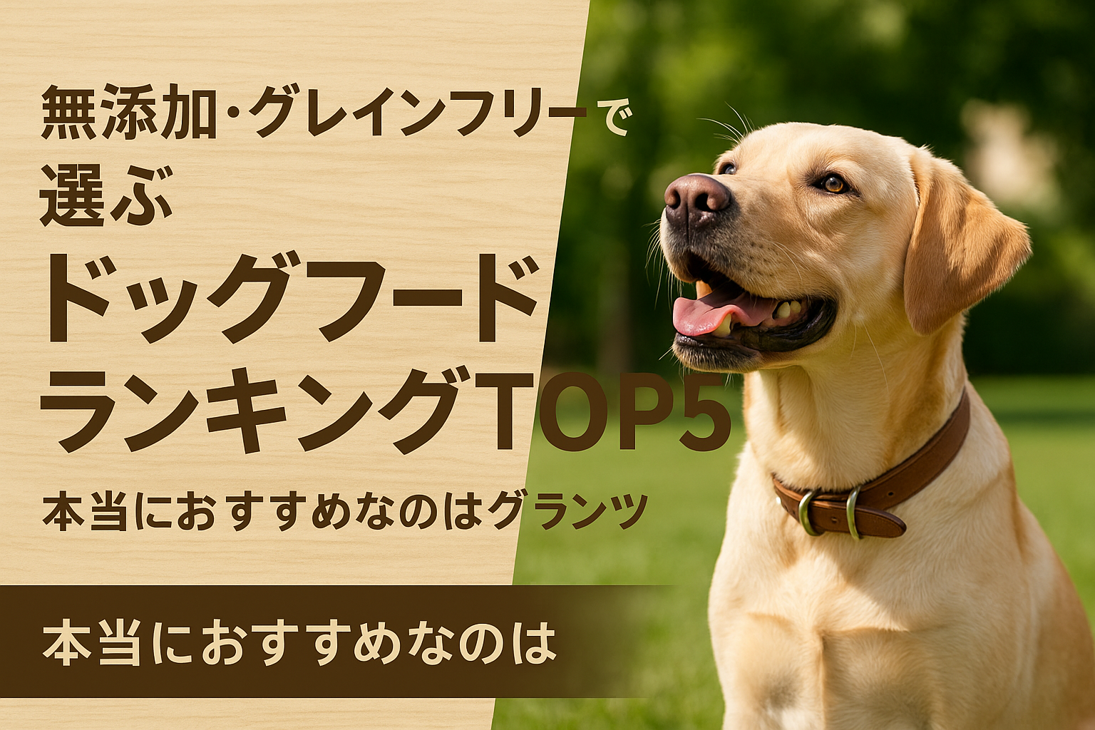 無添加・グレインフリーで選ぶドッグフードランキングTOP5